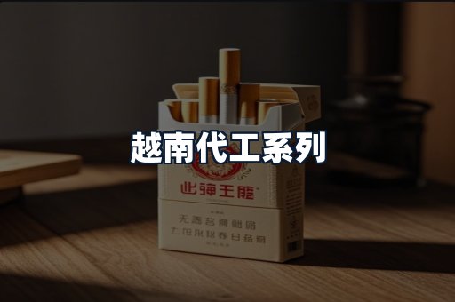 越南代工系列